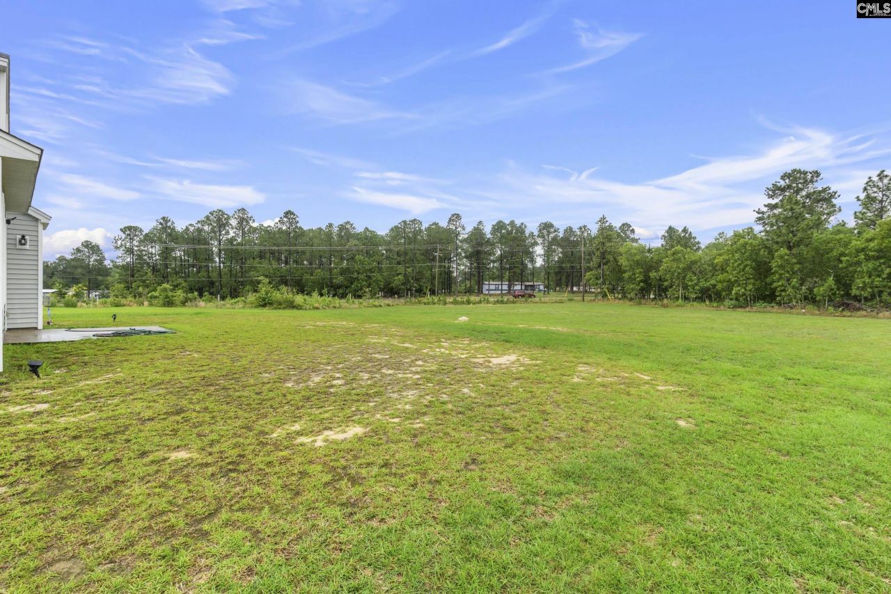 465 Vanburen Court Photo 36