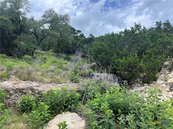 1609 Trail Pass Drive , Canyon Lake, TX 78133
