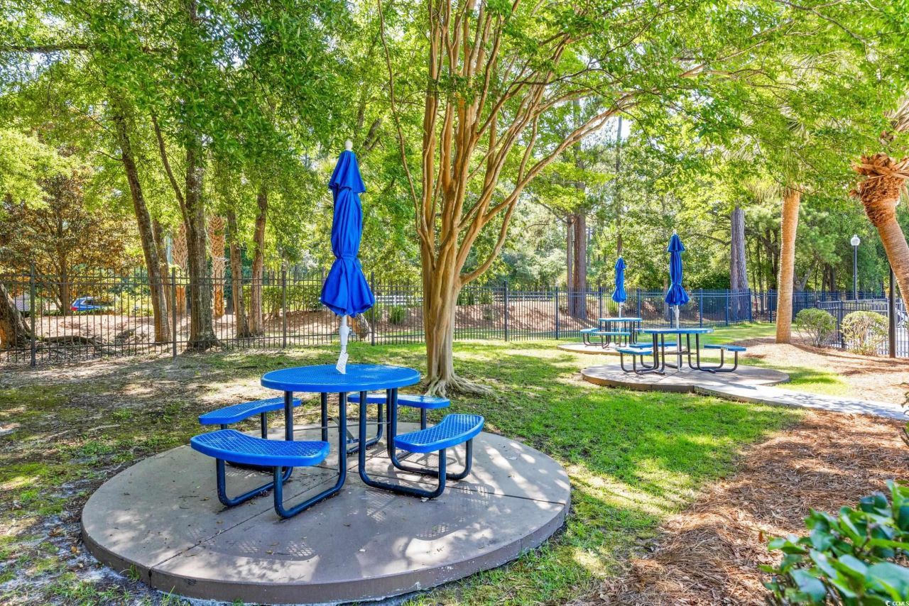 35 Easter Lilly Ct. Photo 33