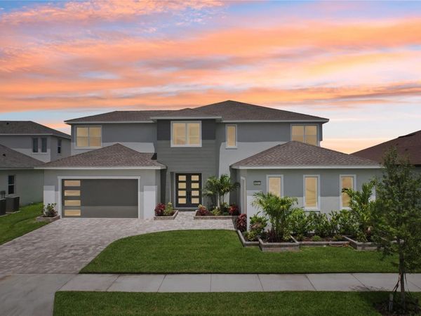 9201 SANDERS TREE LOOP, WESLEY CHAPEL, FL 33545