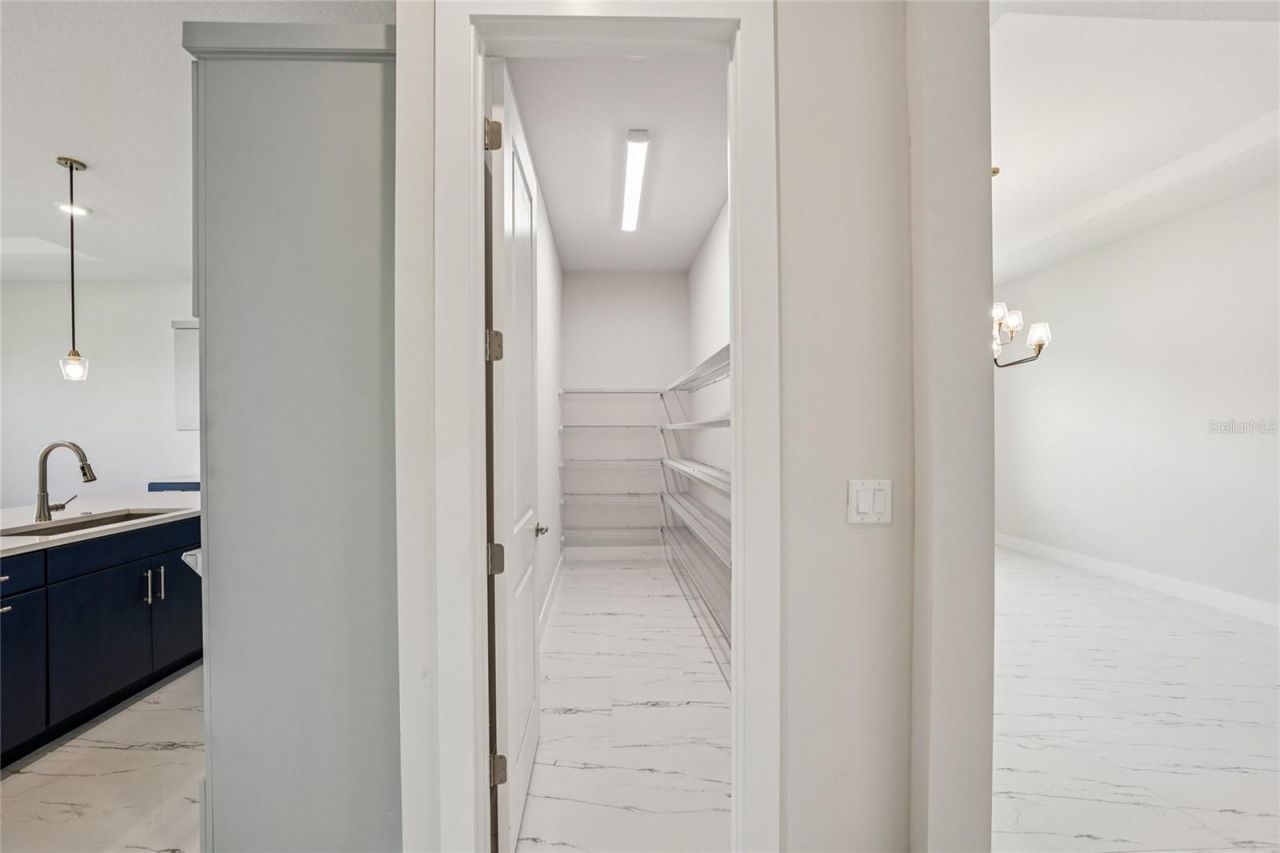 9201 Sanders Tree Loop, Wesley Chapel, FL 33545 Photo