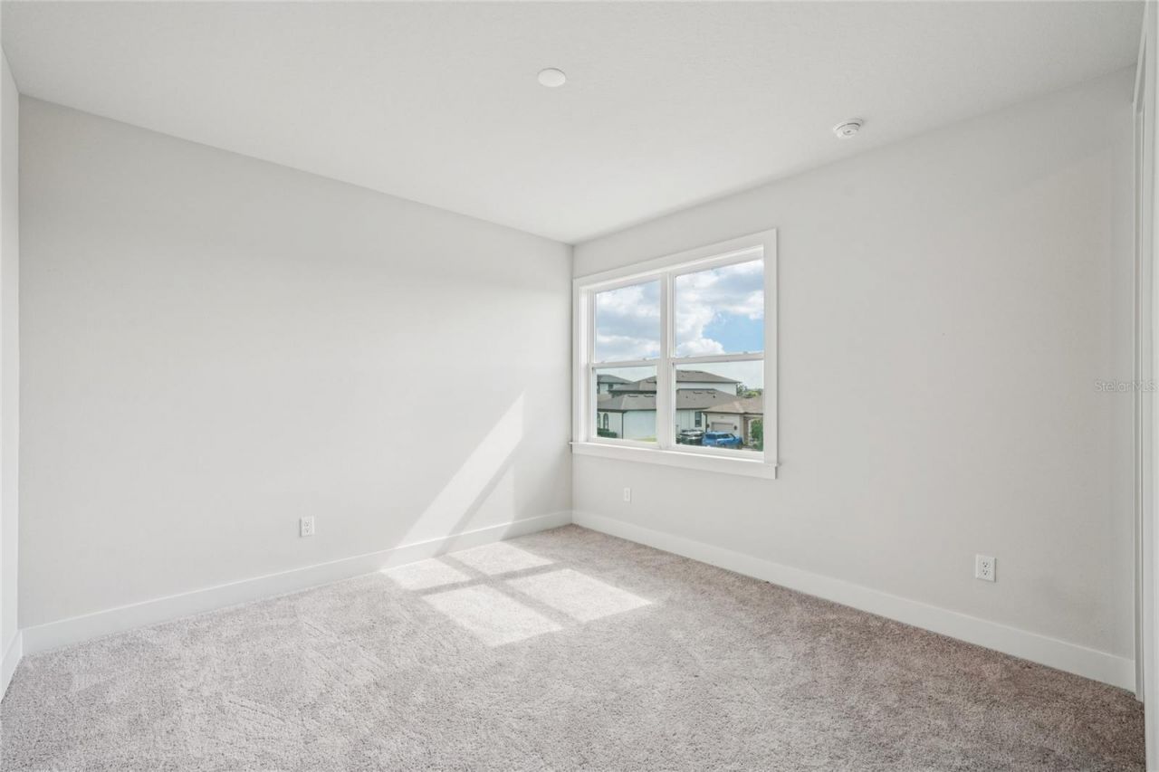 9201 Sanders Tree Loop, Wesley Chapel, FL 33545 Photo