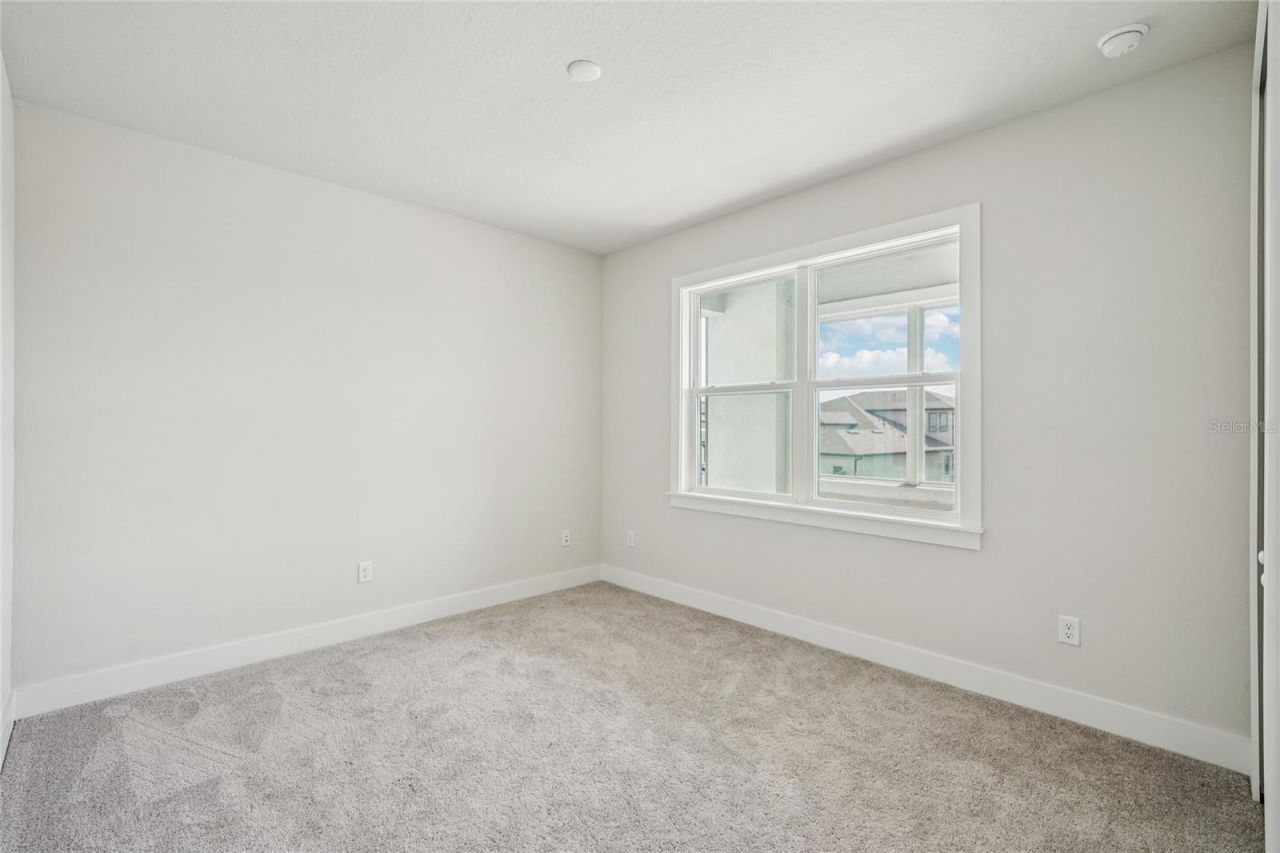 9201 Sanders Tree Loop, Wesley Chapel, FL 33545 Photo