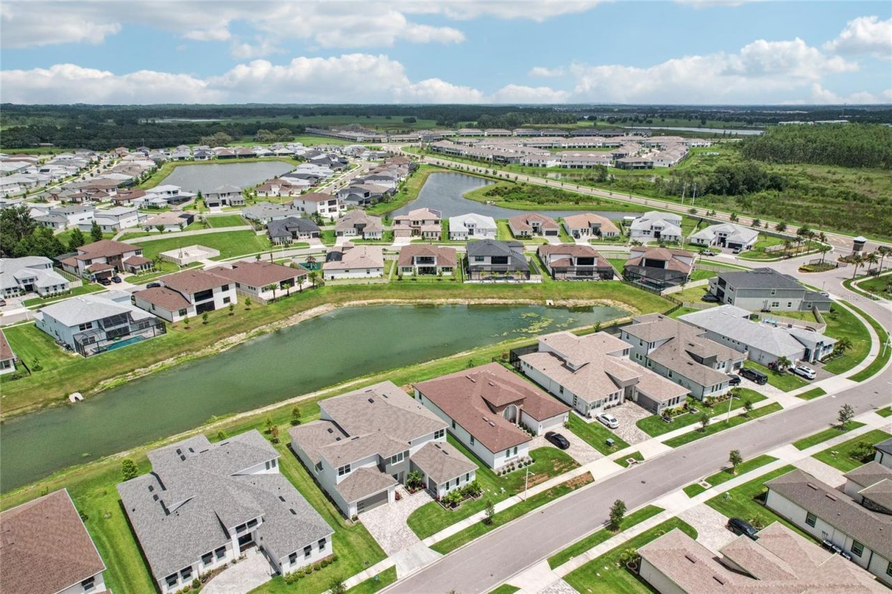 9201 Sanders Tree Loop, Wesley Chapel, FL 33545 Photo