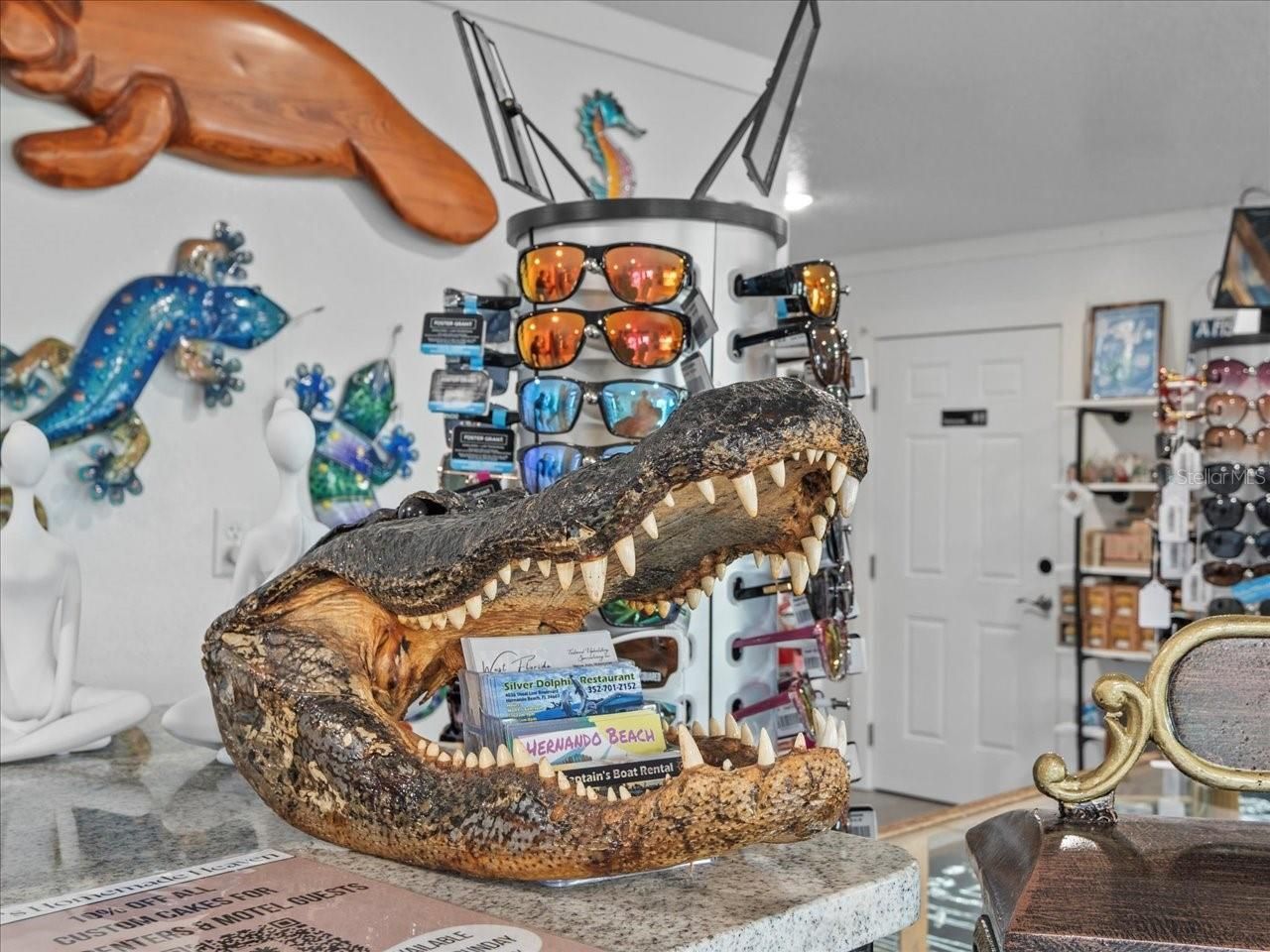 4291 Shoal Line Boulevard, Unit 102, Spring Hill, FL 34607 Photo