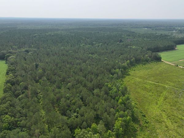 MS-46, Mantee, MS 39751