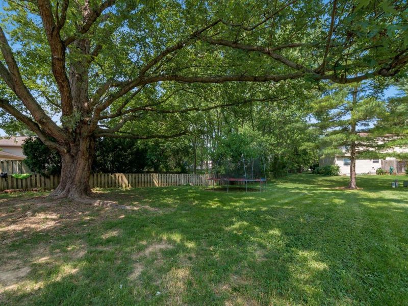 1908 Lost Valley Road, Powell, OH 43065 Photo 45