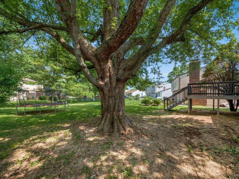 1908 Lost Valley Road, Powell, OH 43065 Photo 50