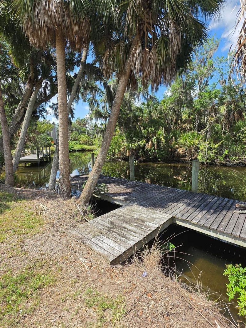 8331 Alafia Pointe Drive, Riverview, FL 33578 Photo