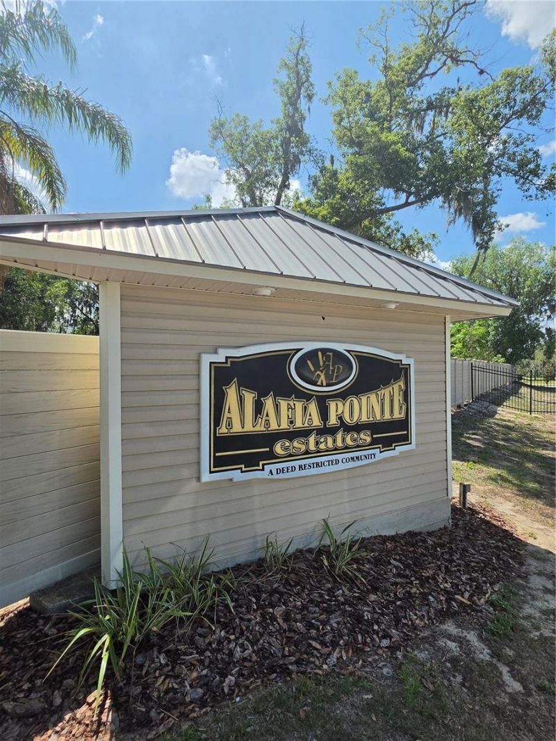 8331 Alafia Pointe Drive, Riverview, FL 33578 Photo