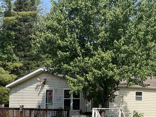 577 Wilderness Trail, St. Helen, MI 48656