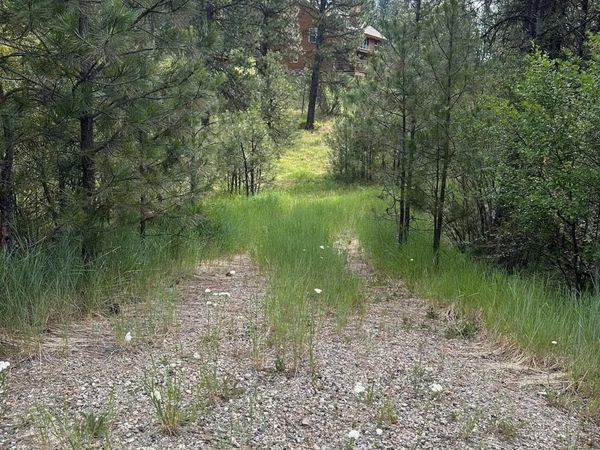 TBD White Pine, Garden Valley, ID 83622