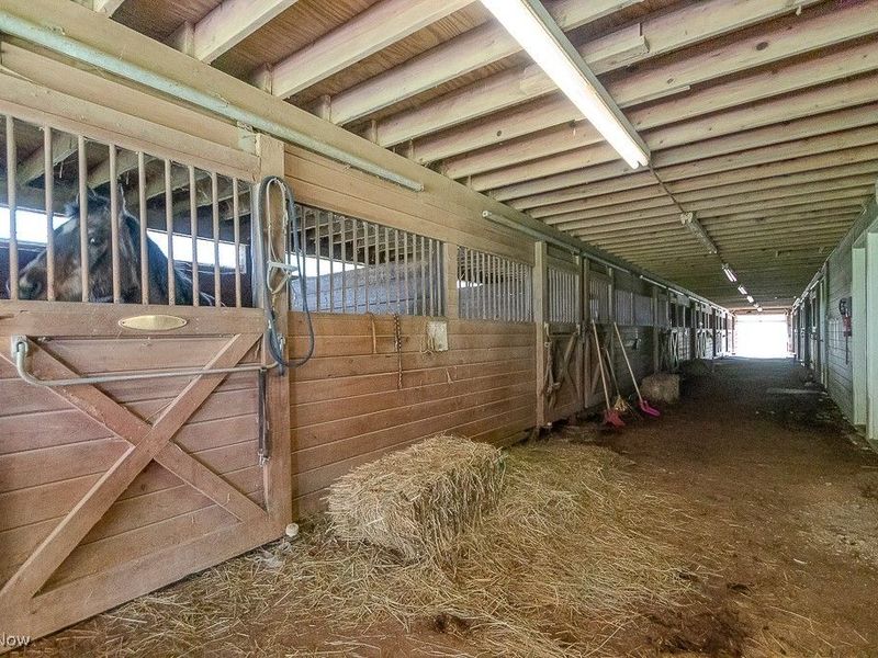 14068 Caves Road, Novelty, OH 44072 Photo 5