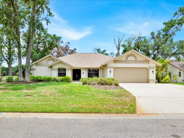 2900 HAMMOCK DRIVE, PLANT CITY, FL 33566