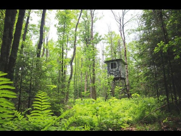 WESTBERG ROAD, Amberg, WI 54102