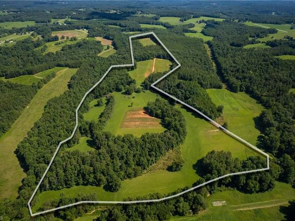 1135 Daisy Creek Farm Road, Westfield, NC 27053