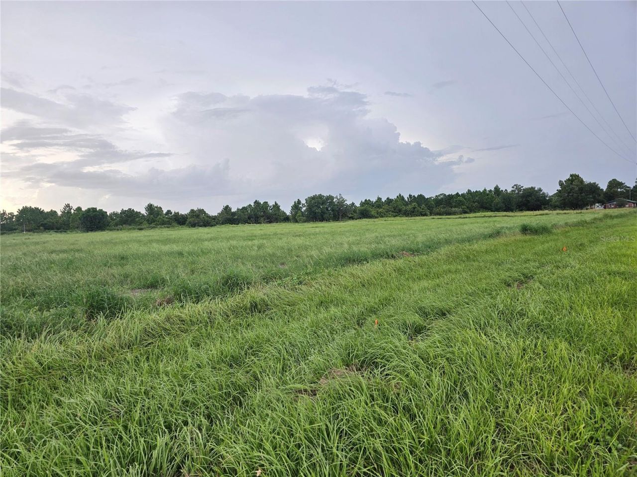 837 Campbell Road, Fort Meade, FL 33841 Photo