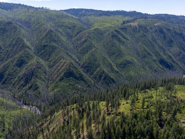 0 Forest Garden Ln, Parcel 4, Weippe, ID 83553