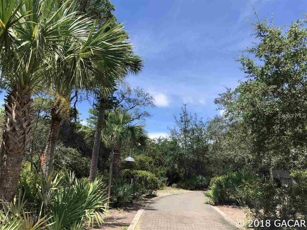 12290 Anchor Cove Drive, Cedar Key, FL 32625 Photo
