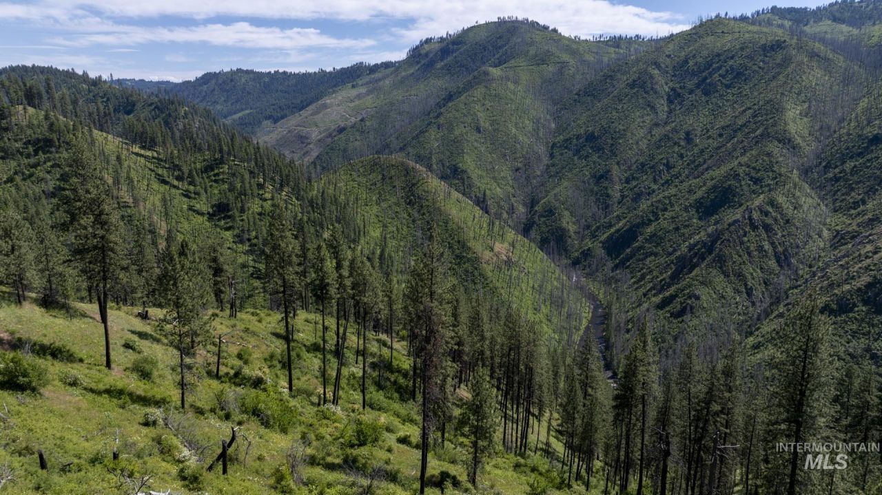 0 Forest Garden Ln, Parcel 7, Weippe, ID 83553 Main Photo