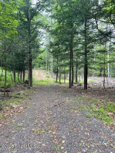 145 Frank Hitchcock Road, Cairo, NY 12413 Main Photo