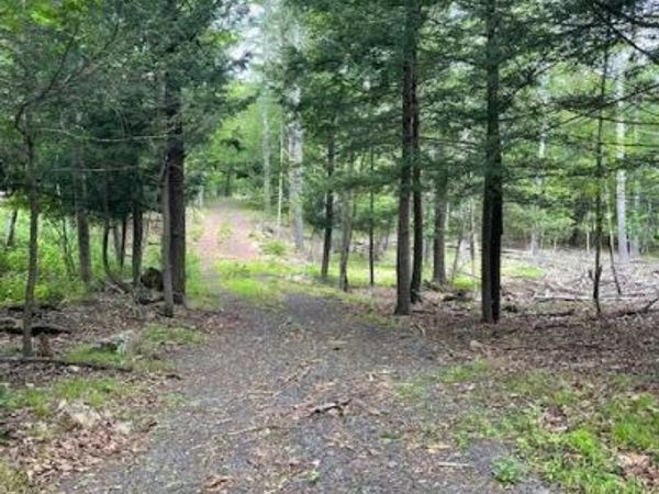 145 Frank Hitchcock Road, Cairo, NY 12413