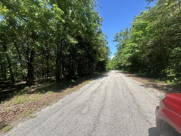 1405 Riverview Dr, Horseshoe Bend, AR 72512