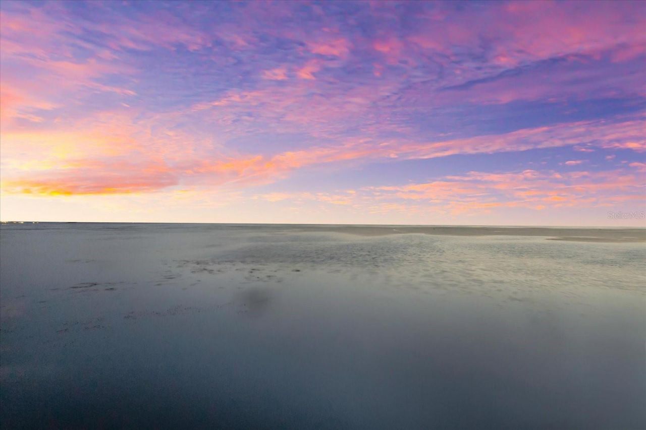 110 Carlyle Drive, Palm Harbor, FL 34683 Photo