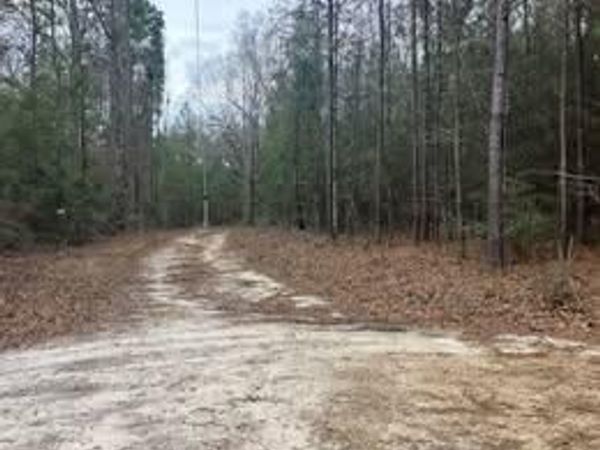 100 Marty Lane, Perkinston, MS 39573