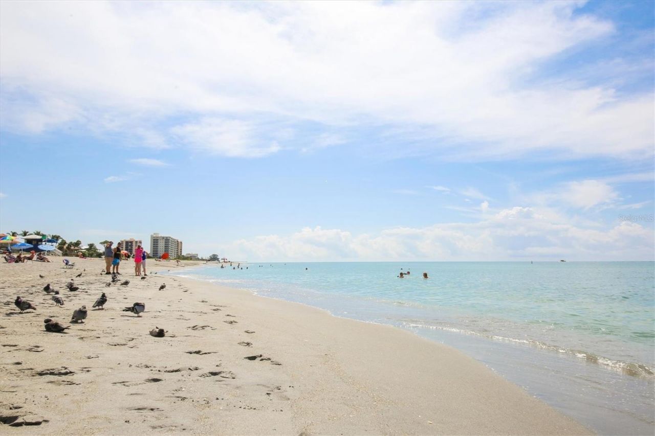 811 Laguna Drive, Venice, FL 34285 Photo