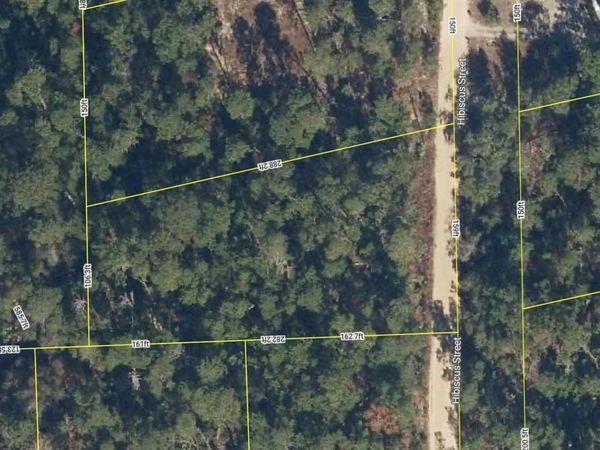 107 HIBISCUS STREET, POMONA PARK, FL 32181