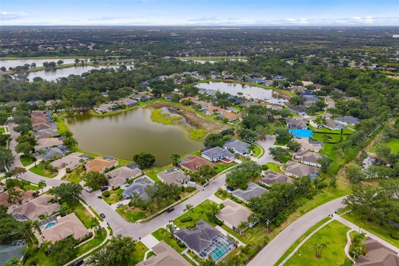 11022 Pine Lilly Place, Lakewood Ranch, FL 34202 Photo