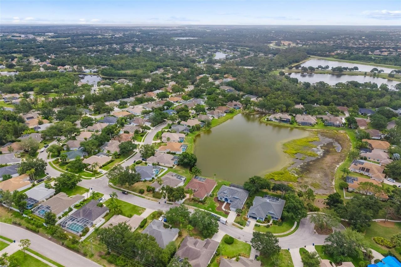 11022 Pine Lilly Place, Lakewood Ranch, FL 34202 Photo