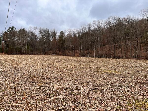 00 state route 97 Route, Cochecton, NY 12726