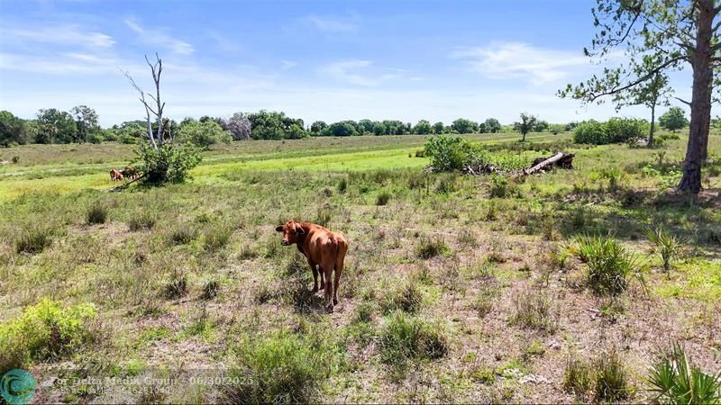 2777 Everhigh Acres Rd, Clewiston, FL 33440 Photo