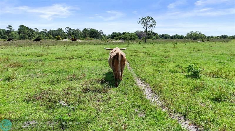 2777 Everhigh Acres Rd, Clewiston, FL 33440 Photo