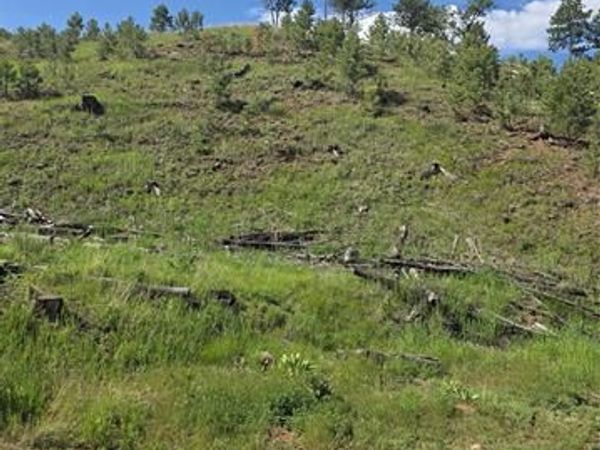 14874 Evergreen Place, Woodland Park, CO 80863