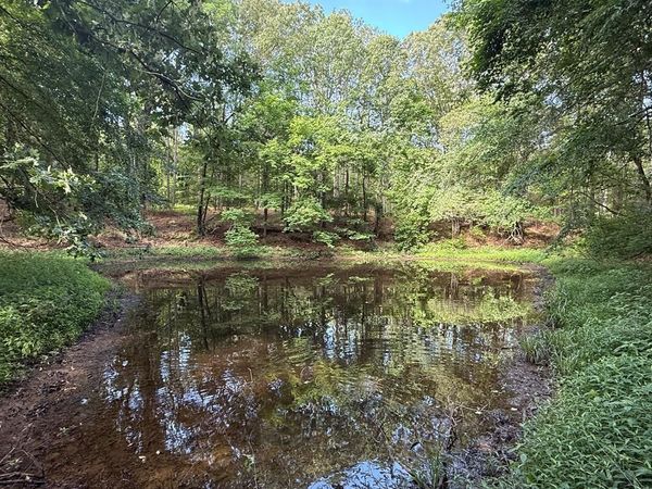 00 Ballentine Rd, Sardis, MS 38606