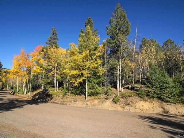 11637 Leavenworth Drive, Conifer, CO 80433