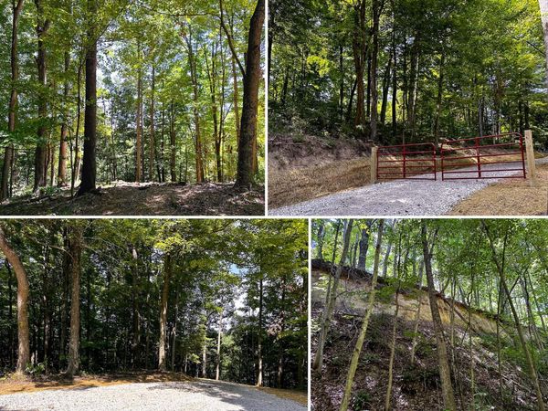 0 Parkinson Road, Unit (Tract 8 a, Langsville, OH 45741