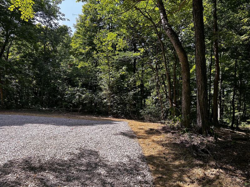 0 Parkinson Road, Unit (Tract 8 a, Langsville, OH 45741 Photo 11