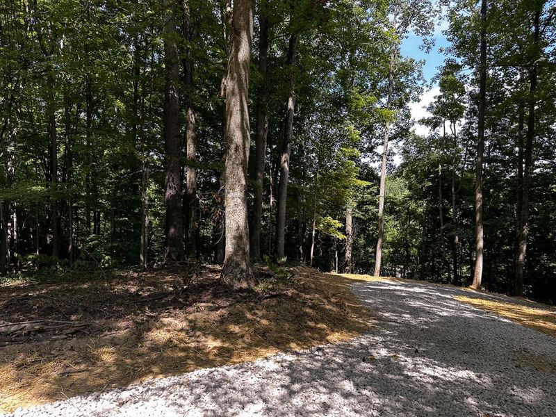 0 Parkinson Road, Unit (Tract 8 a, Langsville, OH 45741 Photo 12