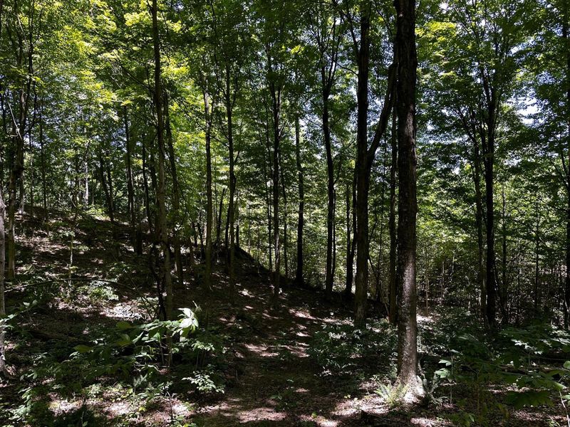 0 Parkinson Road, Unit (Tract 8 a, Langsville, OH 45741 Photo 19