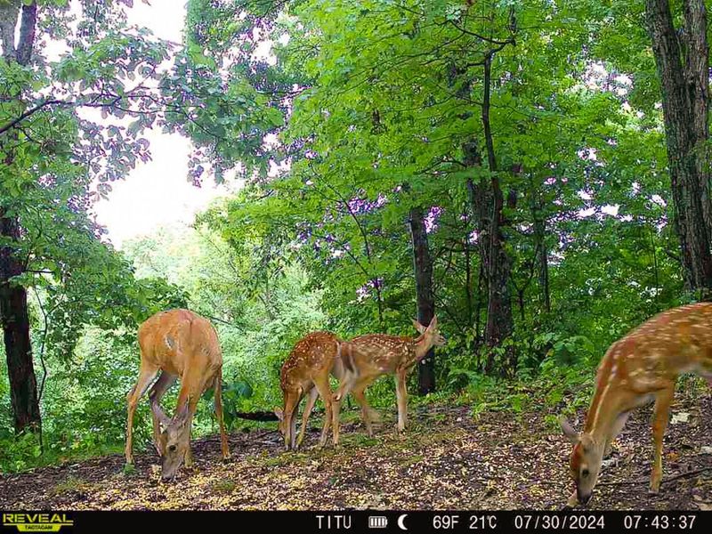 0 Parkinson Road, Unit (Tract 8 a, Langsville, OH 45741 Photo 2