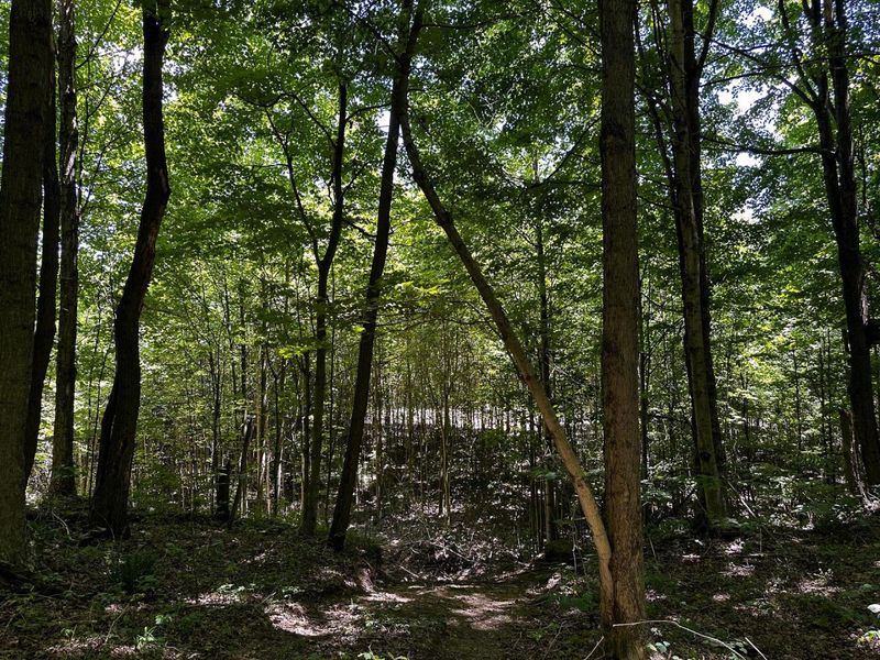 0 Parkinson Road, Unit (Tract 8 a, Langsville, OH 45741 Photo 21