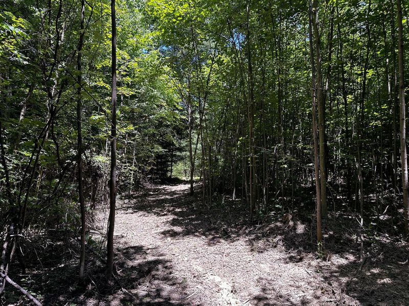 0 Parkinson Road, Unit (Tract 8 a, Langsville, OH 45741 Photo 23