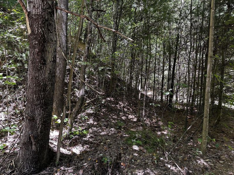 0 Parkinson Road, Unit (Tract 8 a, Langsville, OH 45741 Photo 25