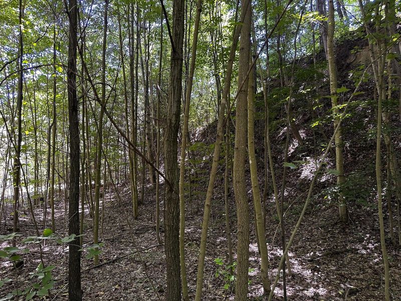 0 Parkinson Road, Unit (Tract 8 a, Langsville, OH 45741 Photo 29