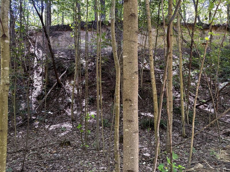 0 Parkinson Road, Unit (Tract 8 a, Langsville, OH 45741 Photo 31