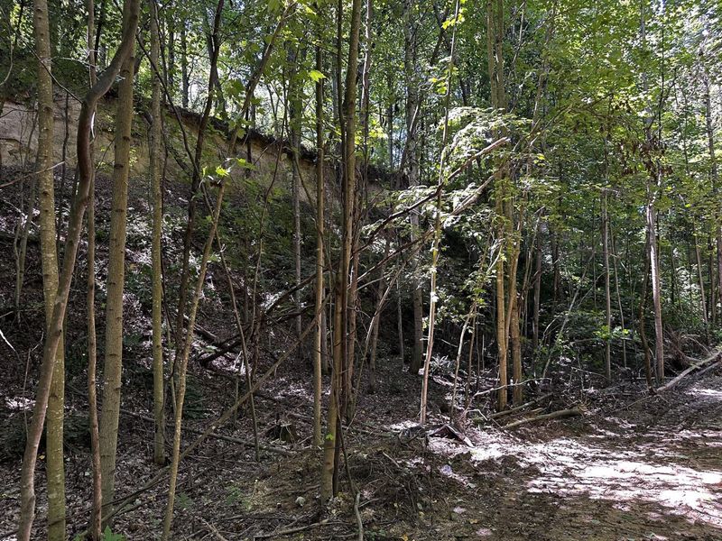 0 Parkinson Road, Unit (Tract 8 a, Langsville, OH 45741 Photo 32